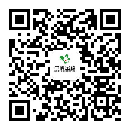 &#20339;&#21338;&#23448;&#26041;&#32593;&#39029;&#29256;&#45;&#20339;&#21338;&#65288;&#20013;&#22269;&#65289;